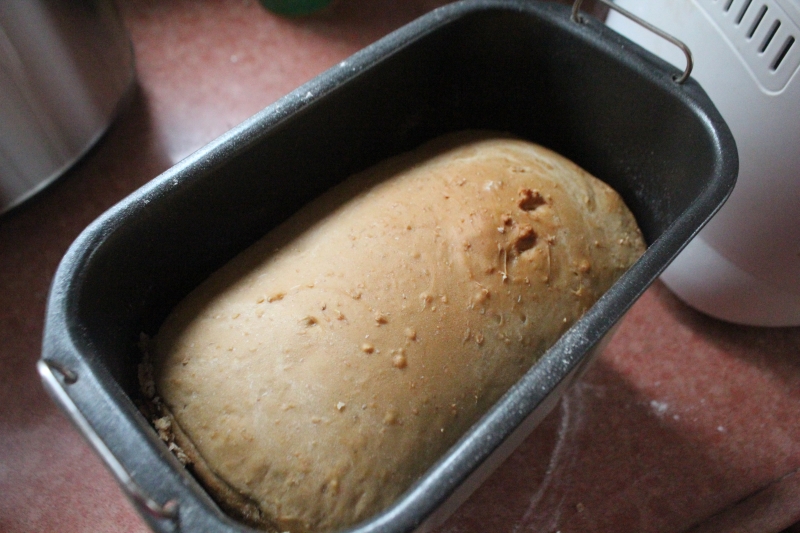 Honey Oat Bread Machine Bread