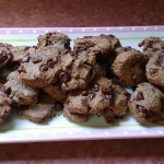 Passover Chocolate Chip Cookies